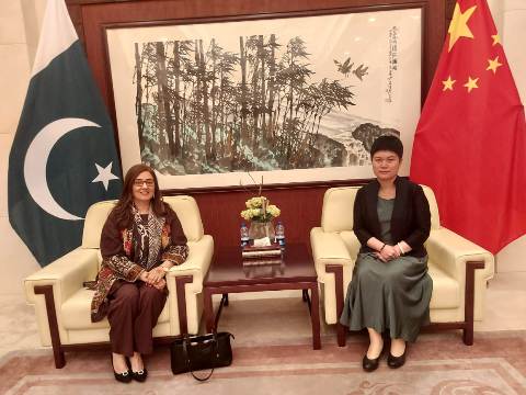 President Chinese Youth Federation Calls On Chinese Charge D Affaires