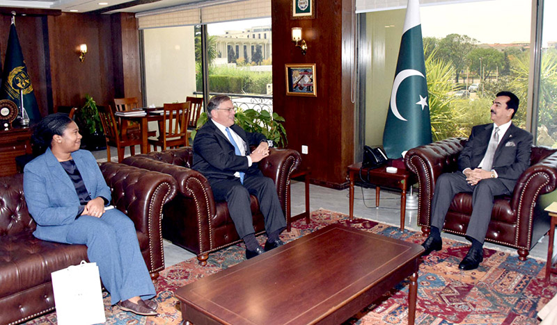 US Ambassador To Pakistan Donald Blome Calls On Chairman Senate Syed