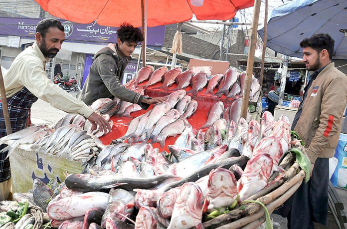 A vendor selling fish at his setup near Khanna Pul