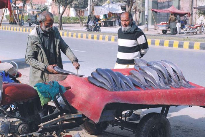 A man is buying fish from a vendor’s roadside stall.