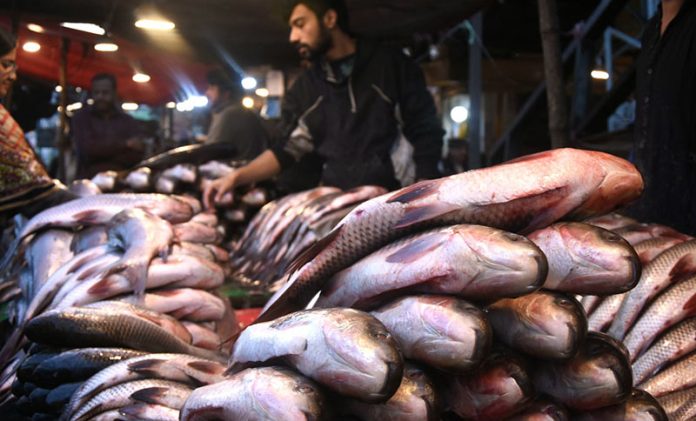 A vendor displaying fishes at outside the Dehli Gate as demand increased in the area due to cold weather.