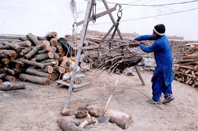 A person selling dry woods to customer for domestic use.