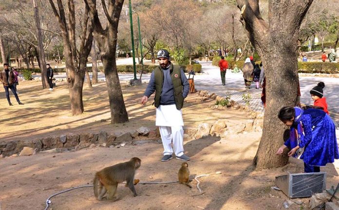 A visitor family feeding a monkey on the way to the picnic spot at Daman-e-Koh