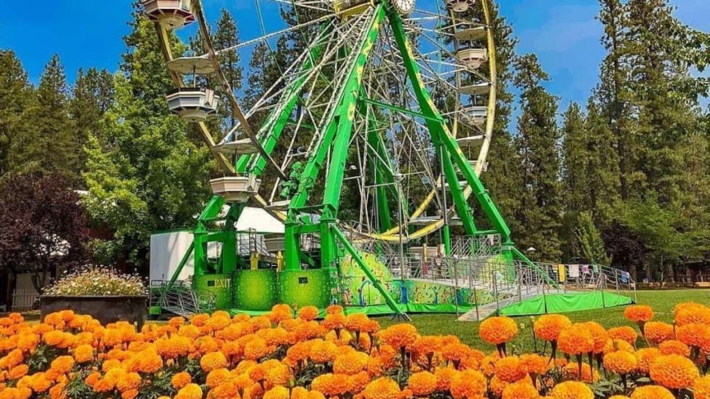 Over 60,000 flowers of different colours to be displayed in 3day