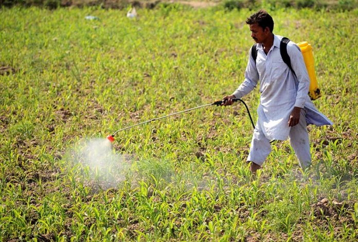 A farmer is spraying pesticides in his field.