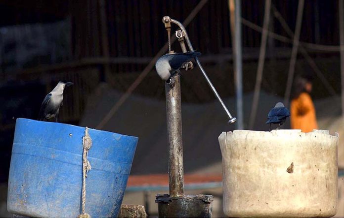 A thirsty crow finding water in the tap to quench its thirst while sitting on a hand pump