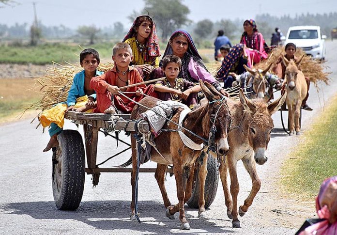 A nomad family traveling on donkey cart on the way at Bakrani Village Road.