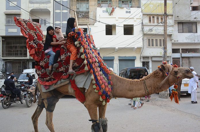 Children enjoy camel ride before Iftar at Pakistan Chowk