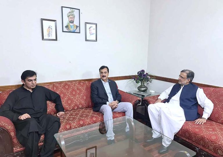 Delegation Of Pakistan People’s Party Headed By Syed Yousaf Raza Gilani ...