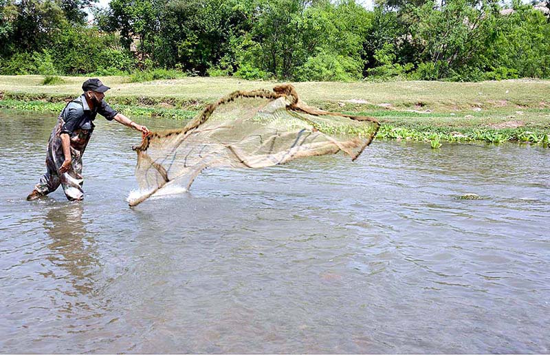 A fisherman throwing net for fishing in a local stream near Phandu
