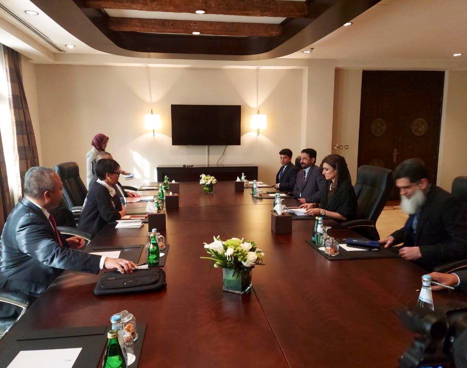 Hina Khar, Indonesian FM discuss bilateral, regional issues