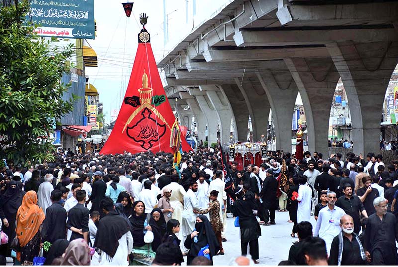 Mourners touch the Zuljinah (Symbolic Horse) during the 10th Muharram procession to mark Ashoura. Ashoura is the commemoration marking the Shahadat (death) of Hussein(AS), the grandson of the Prophet Muhammad(PBUH), with his family members during the battle of Karbala for the upright of Islam