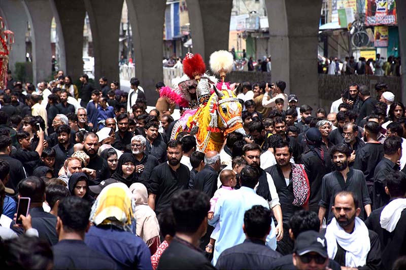 Mourners touch the Zuljinah (Symbolic Horse) during the 10th Muharram procession to mark Ashoura. Ashoura is the commemoration marking the Shahadat (death) of Hussein(AS), the grandson of the Prophet Muhammad(PBUH), with his family members during the battle of Karbala for the upright of Islam