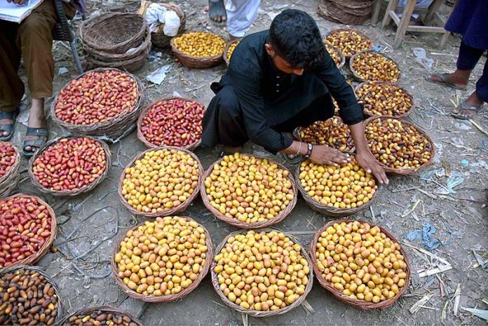 A vendor arranging and displaying the seasonal fruit (Dates) to attract the customers during at Fruit Market