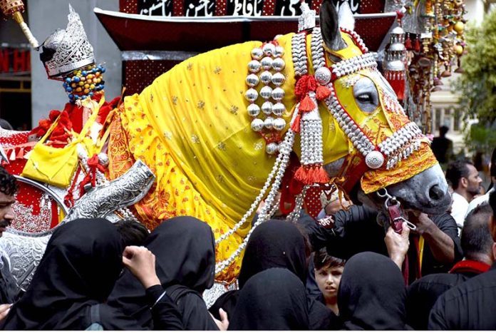 Mourners touch the Zuljinah (Symbolic Horse) during the 10th Muharram procession to mark Ashoura. Ashoura is the commemoration marking the Shahadat (death) of Hussein(AS), the grandson of the Prophet Muhammad(PBUH), with his family members during the battle of Karbala for the upright of Islam