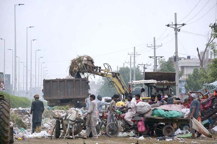 Faisalabad Waste Management Company (FWMC) staffers removing offal and remains of sacrificial animal on the 3rd day of Eid ul Azha at Sheikhupura Road