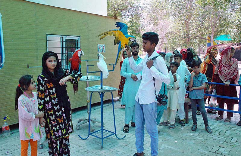 People are watching tiger while visiting at Bahawalpur Zoo