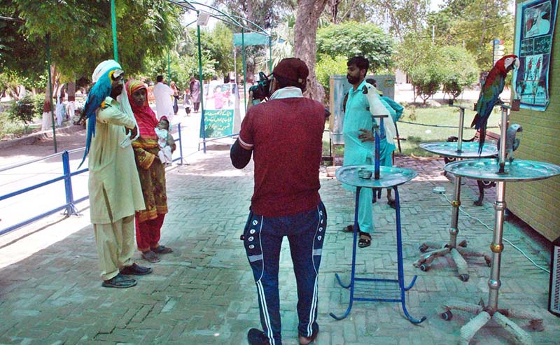 People are watching tiger while visiting at Bahawalpur Zoo