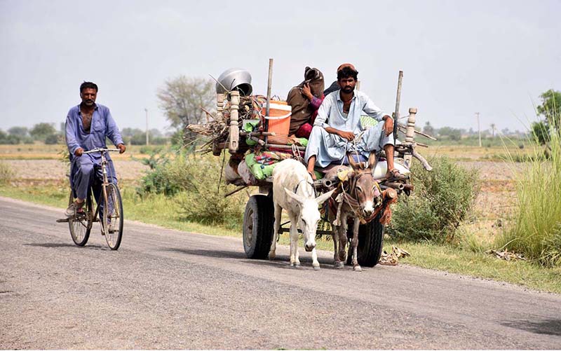 Gypsy family traveling on donkey cart at Mashori Shareef Village on the ...