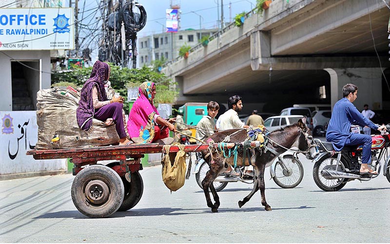 A woman busy in sorting out recycling items at Commercial Market