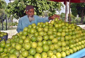 A vendor arranging seasonal fruit (Metha) to attract the customers at Katchehry bazar