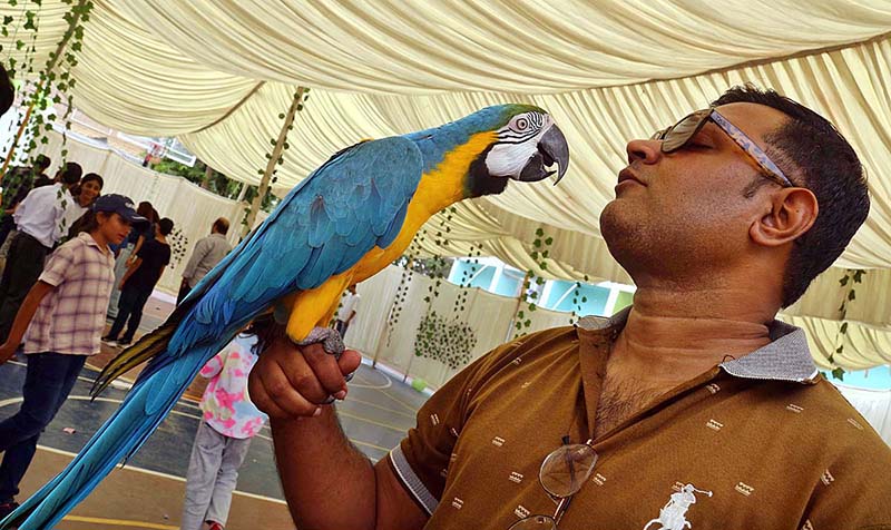 Participant poses with their pets during Pet Show organized at International School Clifton