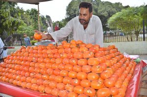  A vendor selling seasonal fruit on his cart. 