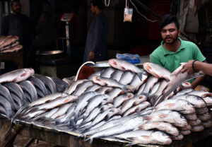 Vendor displaying and selling fish to attract the customers outside his shop