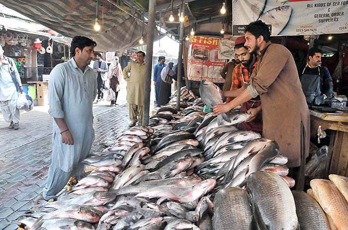 Vendor displaying fish to attract the customers at Weekly Bazaar in ...