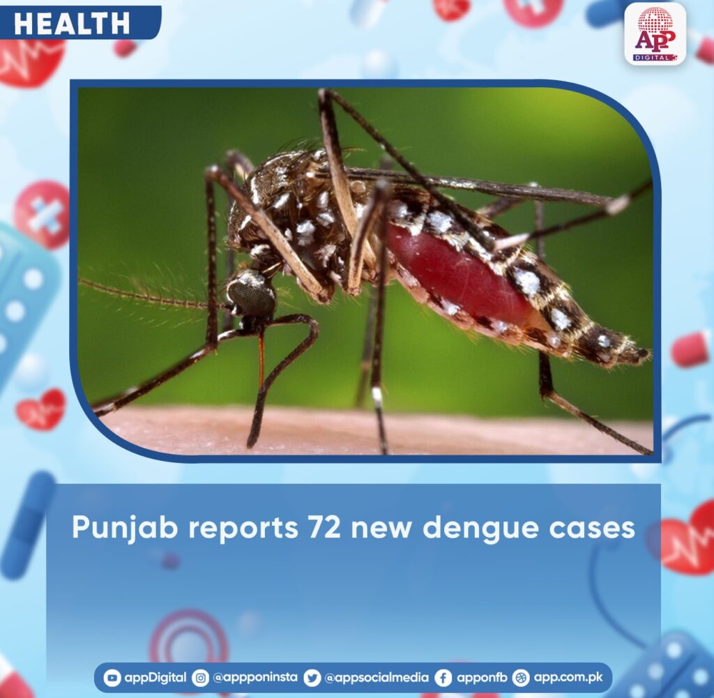 Dengue: 72 new cases reported on Friday in Punjab