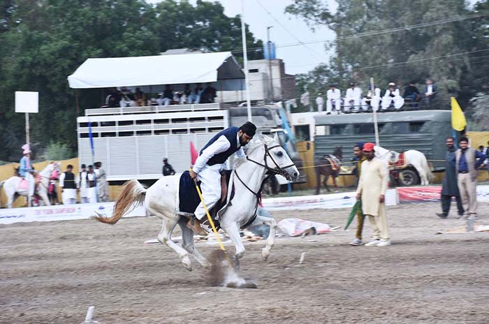 Horse riders aiming their target in the Tent Pegging Championship 2023 ...