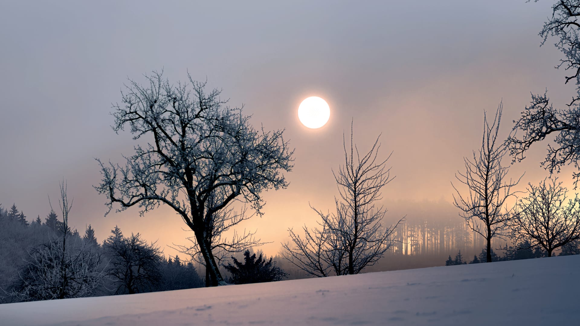 Dec 22 to be shortest day of year 2023