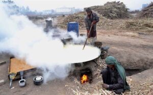 Farmer busy in boiling sugarcane juice for making traditional gur and brown sugar (Shakar) at Bosan Road.