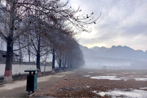  A view of thick fog during early morning