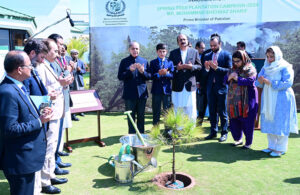 Prime Minister Muhammad Shehbaz Sharif offers Dua at the launching ceremony of the Spring Tree Plantation Campaign 2024 in the city.