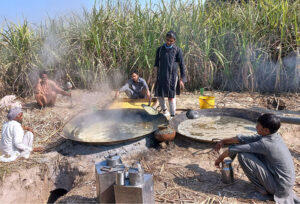 Farmers preparing the traditional sweetener jagri (GURR) to earn livelihood besides their domestic consumption