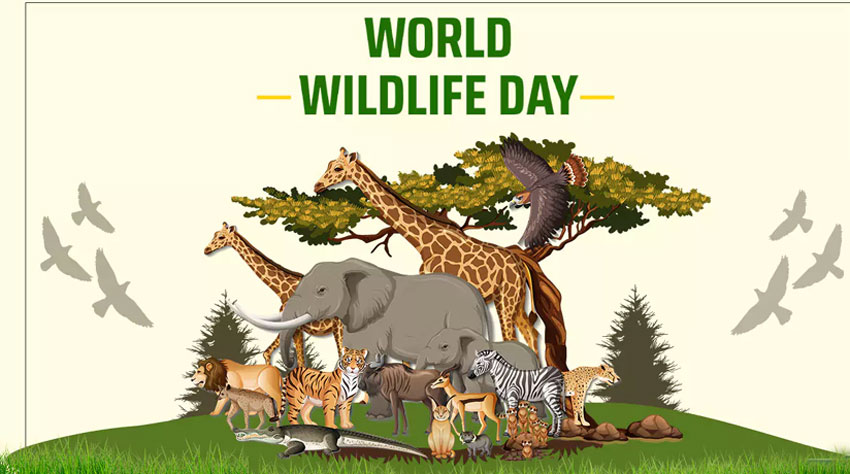 World Wildlife Day observed