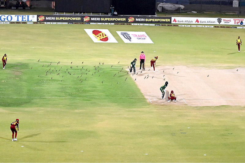 A view of fifth and last T20I match between Pakistan Women’s Cricket Team and West Indies Women’s Cricket Team at National Bank Stadium