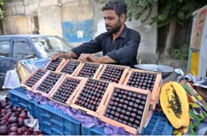 A vendor arranging and displaying seasonal fruit ‘cherry’ on his cart to attract the customers.