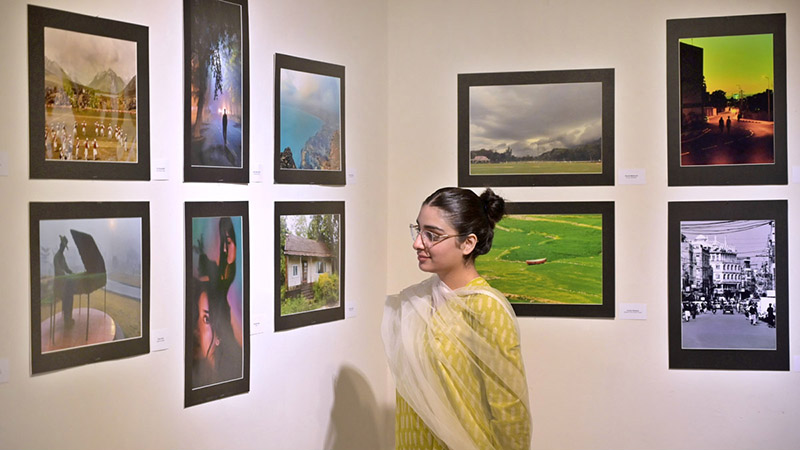 A female art enthusiast stands captivated by a painting at the Annual ...