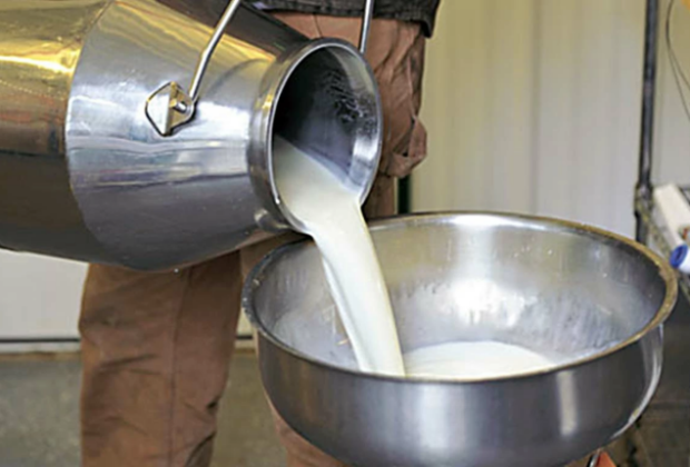 Milk price fixed at Rs 220 per litre in Karachi division