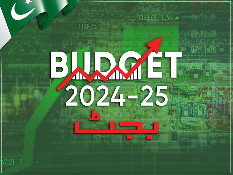 Budget 202425 aims fiscal consolidation, next IMF negotiations