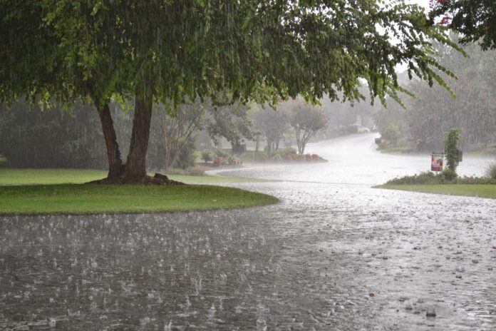 Monsoon rains