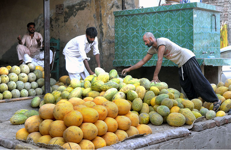 Vendors are selling seasonal fruit Persian melon at their roadside ...