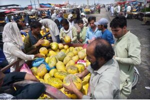 People purchasing seasonal fruit displayed by vendor at Fruit and Vegetable Market in the Federal Capital