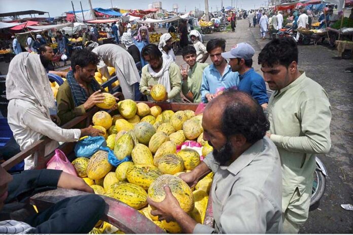 People purchasing seasonal fruit displayed by vendor at Fruit and Vegetable Market in the Federal Capital