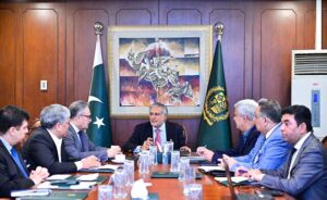 Deputy Prime Minister and Foreign Minister Senator Mohammad Ishaq Dar, chairs high level meeting on the welfare of overseas Pakistanis.