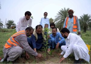 Deputy Director Local Government Babar Shahzad Ranjha is planting a sapling at chak no 70 NB in connection with 'tree plantation campaign