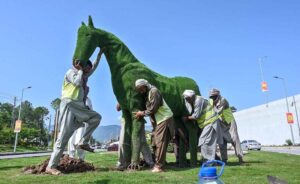 CDA (Capital Development Authority) staff are fixing a replica of a horse at Rawal Dam Chowk for the beautification of the Federal Capital.