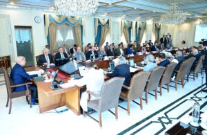 Cabinet approves enhancement in Privatization Commission Board members’ strength